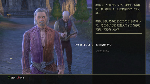 画像ギャラリー No.034のサムネイル画像 / MMORPG「エルダー・スクロールズ・オンライン」の世界は広がり続けている――シリーズファンの視点から伝えたい“ESOの魅力”