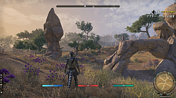 画像ギャラリー No.044のサムネイル画像 / MMORPG「エルダー・スクロールズ・オンライン」の世界は広がり続けている――シリーズファンの視点から伝えたい“ESOの魅力”