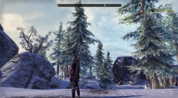 画像ギャラリー No.009のサムネイル画像 / 「Skyrim」の舞台が「エルダー・スクロールズ・オンライン」に登場。新章となる「グレイムーア」アップデートを先行プレイ