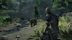 画像ギャラリー No.023のサムネイル画像 / 「Skyrim」の舞台が「エルダー・スクロールズ・オンライン」に登場。新章となる「グレイムーア」アップデートを先行プレイ