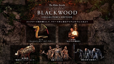 画像ギャラリー No.002のサムネイル画像 / 「エルダー・スクロールズ・オンライン」のサマーセールが開催。ベースゲームが89％オフ，最新DLC“ブラックウッド”は初セールで35％オフに