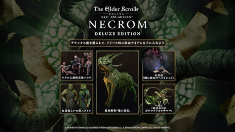 画像ギャラリー No.002のサムネイル画像 / 「エルダー・スクロールズ・オンライン」，新チャプター“ネクロム”を発売。新クラス「アルカニスト」と2つの新ゾーンが登場