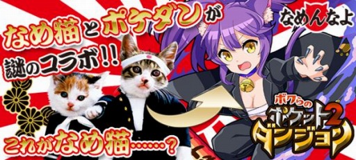 画像ギャラリー No.002のサムネイル画像 / 「ボクらのポケットダンジョン2」が「なめ猫」とコラボ。イベント「なめんなよ狂騒曲」を開催