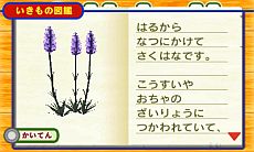 画像ギャラリー No.010のサムネイル画像 / 「こびとづかん こびと観察セット」のTVCMを「いつの間にテレビ」で先行配信。“こびと”がこっそり隠れている公式サイトではパッケージ裏面画像も公開