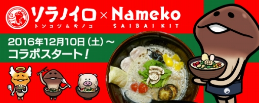 画像ギャラリー No.001のサムネイル画像 / 「なめこ栽培キット」とソラノイロ トンコツ＆キノコのコラボラーメンが12月10日から発売