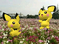 「ポケモン全国図鑑Pro」本日配信開始。全シリーズのポケモン情報を網羅，隠れ特性やタイプ相性も調べられる