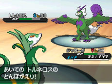 画像ギャラリー No.019のサムネイル画像 / 目指すは伝説のポケモン達の捕獲。「ポケモン」本編と連動するダウンロードソフト「ポケモンARサーチャー」の詳細が明らかに