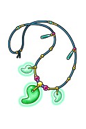 画像ギャラリー No.006のサムネイル画像 / 「一騎当千バーストファイト」「ブラウザ三国志モバイル」のコラボカード登場