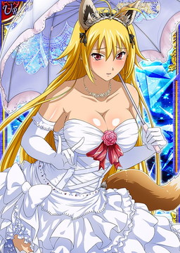 画像ギャラリー No.003のサムネイル画像 / 「一騎当千 バーストファイト」，イベント“おとぎの国の乙女たち?”が開幕