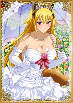 画像ギャラリー No.004のサムネイル画像 / 「一騎当千 バーストファイト」，イベント“おとぎの国の乙女たち?”が開幕