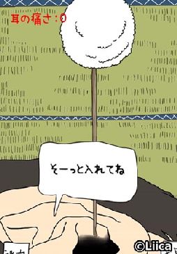 毎日の耳かき