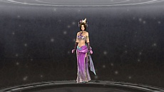画像ギャラリー No.011のサムネイル画像 / コーエーテクモゲームス,「真・三國無双6 Empires」の初回封入特典の画像を公開
