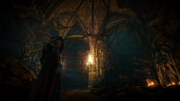 画像ギャラリー No.015のサムネイル画像 / ［E3 2013］ドラキュラが主人公となった「Castlevania -Lords of Shadow- 2」プレイレポート。もちろん吸血アクションもアリ