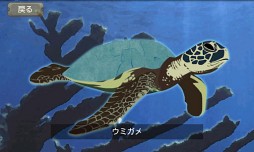 海の上