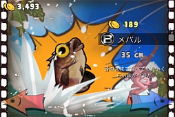 みんなの釣り