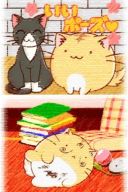 ポヨポヨ観察日記