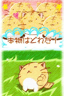 ポヨポヨ観察日記