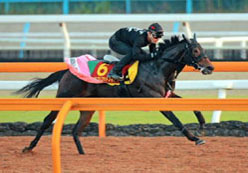 画像ギャラリー No.004のサムネイル画像 / 「DERBY OWNERS CLUB」，イベント「小島良太の『馬なりぃ』杯」を18日より開催