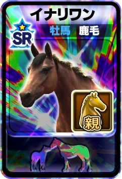 画像ギャラリー No.005のサムネイル画像 / 「DERBY OWNERS CLUB」,冠レースを大井競馬場で12月30日に実施