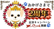 画像ギャラリー No.002のサムネイル画像 / 「わんこのお部屋forモバゲー」，着ぐるみガチャが実装。ログイン特典も配布