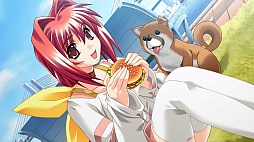 画像ギャラリー No.027のサムネイル画像 / 「マブラヴ」と「マブラヴ　オルタネイティヴ」のPS3版が10月25日に発売。アニメが放映中の「トータル・イクリプス」もゲーム化決定