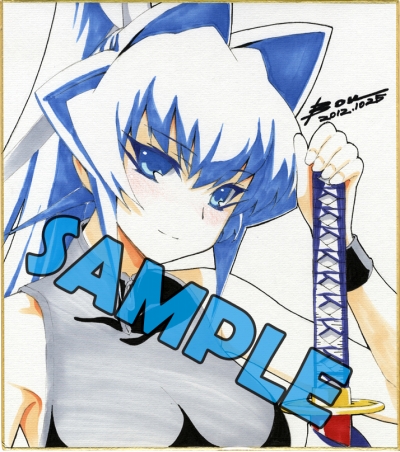 画像ギャラリー No.002のサムネイル画像 / PS3「マブラヴ」「マブラヴ オルタネイティヴ」発売記念抽選会の開催決定