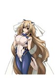 画像ギャラリー No.020のサムネイル画像 / 「境界線上のホライゾン PORTABLE」敵キャラクターやヘルパー，ゲームシステムの一部を紹介。予約特典のミニゲーム続報も要チェック