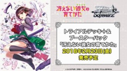 画像ギャラリー No.013のサムネイル画像 / 「ブシロード超戦略発表会」をレポート。多くの参戦タイトルが明かされた「ヴァイスシュヴァルツ」など,TCGタイトルの新情報や今後の展開が公開