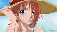 画像ギャラリー No.030のサムネイル画像 / 「ワンピース ROMANCE DAWN 〜冒険の夜明け〜」，作中を忠実に再現したボスバトルシステムを紹介 
