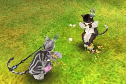 画像ギャラリー No.010のサムネイル画像 / アソビモが提供する全タイトルで猫の日にちなんだキャンペーンを開催
