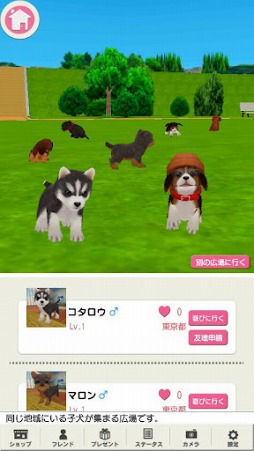 画像ギャラリー No.001のサムネイル画像 / 「どこでもペット かわいい子犬」が配信スタート。子犬と一緒に全国を旅しよう