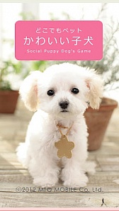 画像ギャラリー No.002のサムネイル画像 / 「どこでもペット かわいい子犬」が配信スタート。子犬と一緒に全国を旅しよう