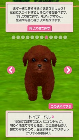 画像ギャラリー No.003のサムネイル画像 / 「どこでもペット かわいい子犬」が配信スタート。子犬と一緒に全国を旅しよう