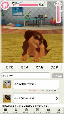 どこでもペット かわいい子犬