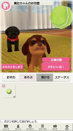 どこでもペット かわいい子犬