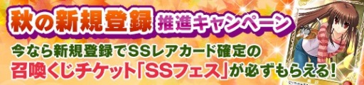 画像ギャラリー No.008のサムネイル画像 / 「メガミエンゲイジ！」エスクードの「Re;Lordシリーズ」から新規カードが登場