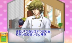 画像ギャラリー No.012のサムネイル画像 / 3DS向け「＠SIMPLE DLシリーズ」7作品が期間限定で半額に。8月20日まで