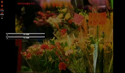 画像ギャラリー No.008のサムネイル画像 / 真実は深い闇の奥にある……。スマートフォン向けホラーノベルゲーム「あげはの花は宵に咲く」を紹介する「(ほぼ)日刊スマホゲーム通信」第405回