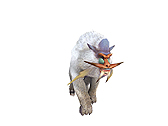 画像ギャラリー No.020のサムネイル画像 / 「バイオハザード VS.」「モンスターハンター Massive Hunting」がiOS/Andriod向けに制作中。カプコンの2大アクションがGREE Platform対応で年内に配信