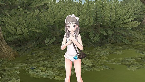 画像ギャラリー No.025のサムネイル画像 / PS Vita「トトリのアトリエ Plus」最新情報。“やり込み”要素として登場するオルトガラクセンの強敵や,コスチューム調合,初回封入特典の情報が公開