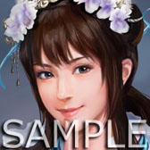 画像ギャラリー No.001のサムネイル画像 / PS3版「三國志12」，武将アバターの配信をPlayStation Storeで本日開始