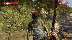 画像ギャラリー No.026のサムネイル画像 / 「Dead Island: Riptide」をレビュー。頼りになるプレイヤーキャラクターや多種多様なゾンビの登場で，さらに魅力を増したゾンビリゾートへようこそ