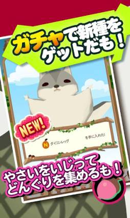ゆるベジファーム