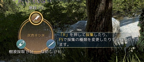 画像ギャラリー No.023のサムネイル画像 / 「黒い砂漠」は“利便性改善アップデート”で遊びやすくなる。これまでの改善点や遊びやすくなったところを一部紹介しよう