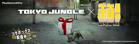 画像ギャラリー No.002のサムネイル画像 / 「箱! -OPEN ME-」と「TOKYO JUNGLE」がコラボ。噛む気100%なハイエナが守る「TOKYO JUNGLE箱」でサバイバル感あふれる箱開けに挑戦しよう