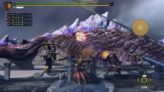 画像ギャラリー No.003のサムネイル画像 / Wii U版「モンスターハンター3（トライ）G HD Ver. 」ボイスチャットやUSBキーボードに対応，Wii U GamePadのZL / ZRボタンでカメラ操作も可能に