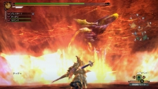 画像ギャラリー No.005のサムネイル画像 / Wii U版「モンスターハンター3（トライ）G HD Ver. 」ボイスチャットやUSBキーボードに対応，Wii U GamePadのZL / ZRボタンでカメラ操作も可能に