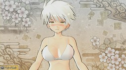 画像ギャラリー No.039のサムネイル画像 / 恐るべし全破壊。これ以上はないほどギリギリ限界な「閃乱カグラ SHINOVI VERSUS -少女達の証明-」をプレイムービーで紹介