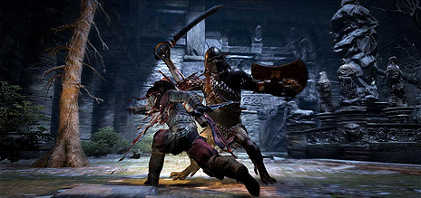 画像ギャラリー No.009のサムネイル画像 / 「Dragon's Dogma: Dark Arisen」のスペシャルパッケージが8月28日発売。防具パックや特別アイテムのDLコード，特典DVDを同梱