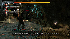 画像ギャラリー No.014のサムネイル画像 / 「Dragon's Dogma: Dark Arisen」のスペシャルパッケージが8月28日発売。防具パックや特別アイテムのDLコード，特典DVDを同梱